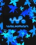 pic for Walkman Blue Leaves